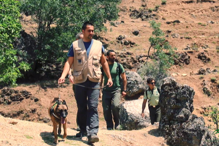 El equipo canino de detección de cebos envenenados realiza desde su creación 3.436 inspecciones en el medio natural
